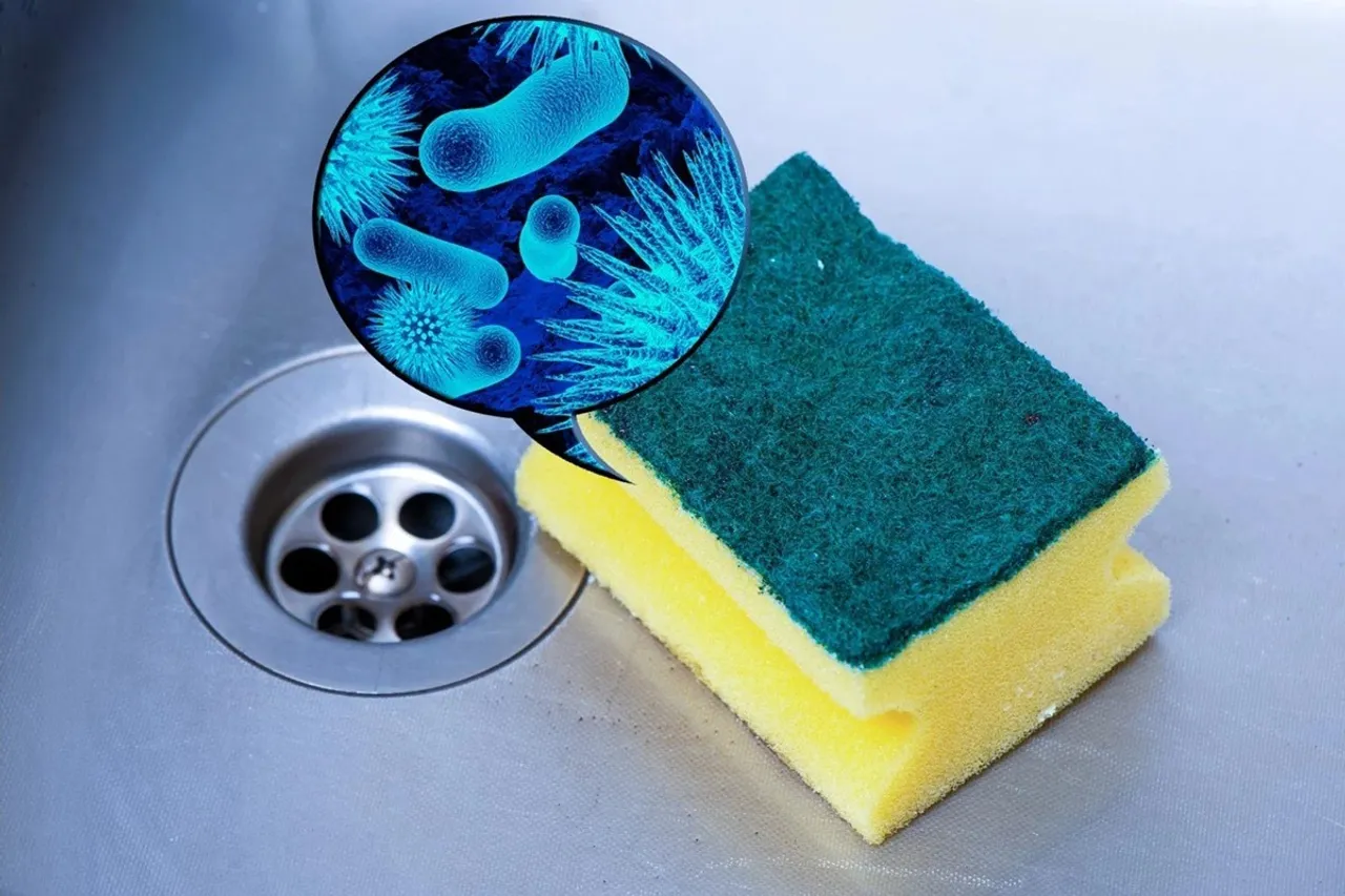 Dirty-Kitchen-Sponge-Bacteria
