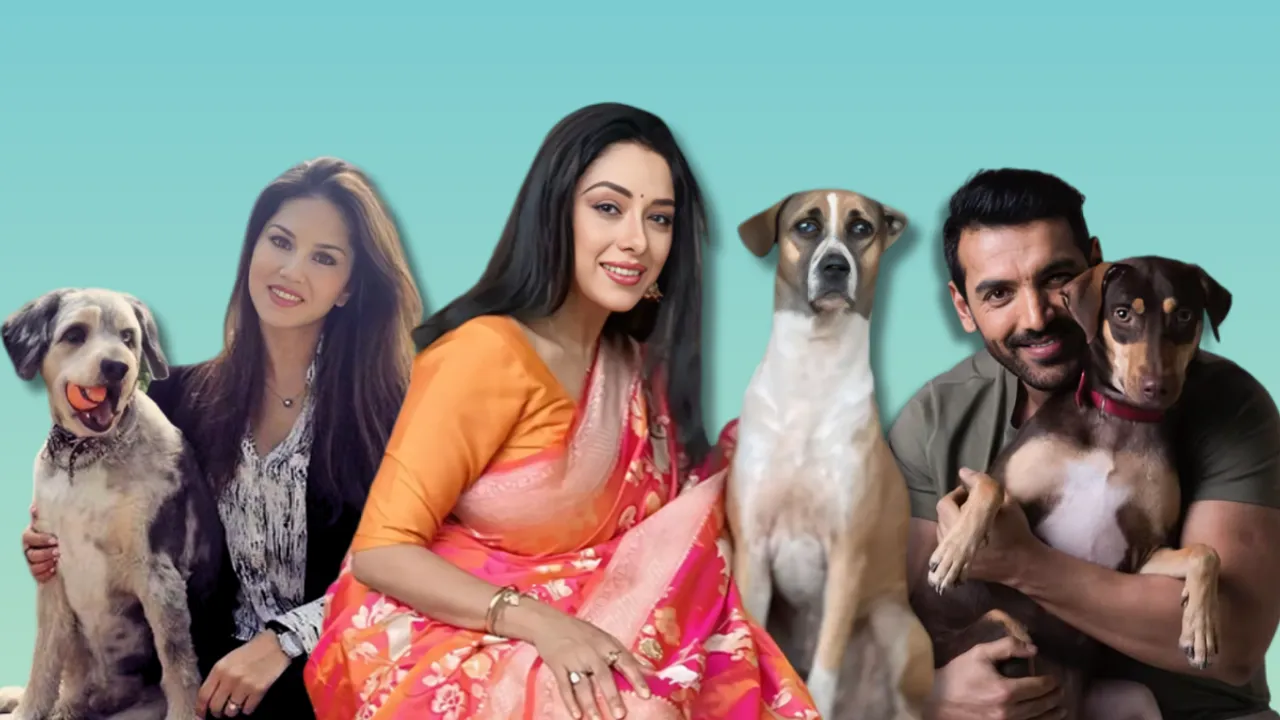 celebs who adopted indies