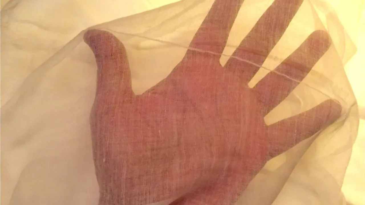 dhaka muslin