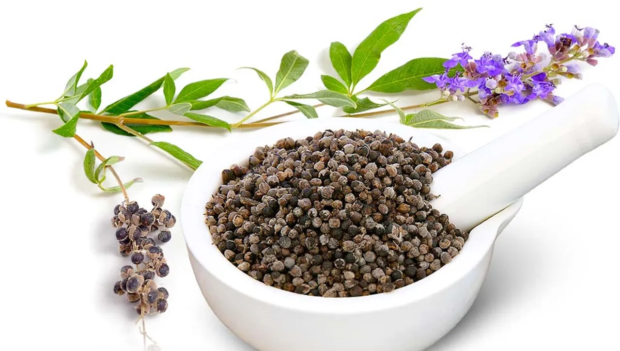 vitex_chasteberry | Image from herbazest
