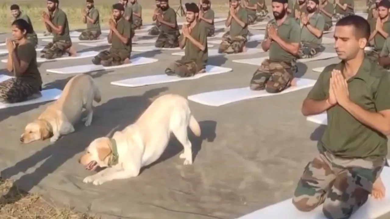 YOga Day