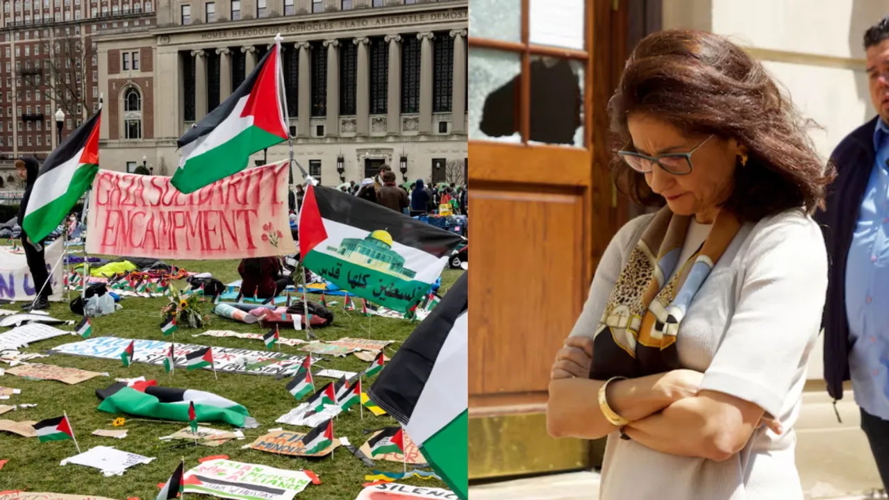 pro palestine protest