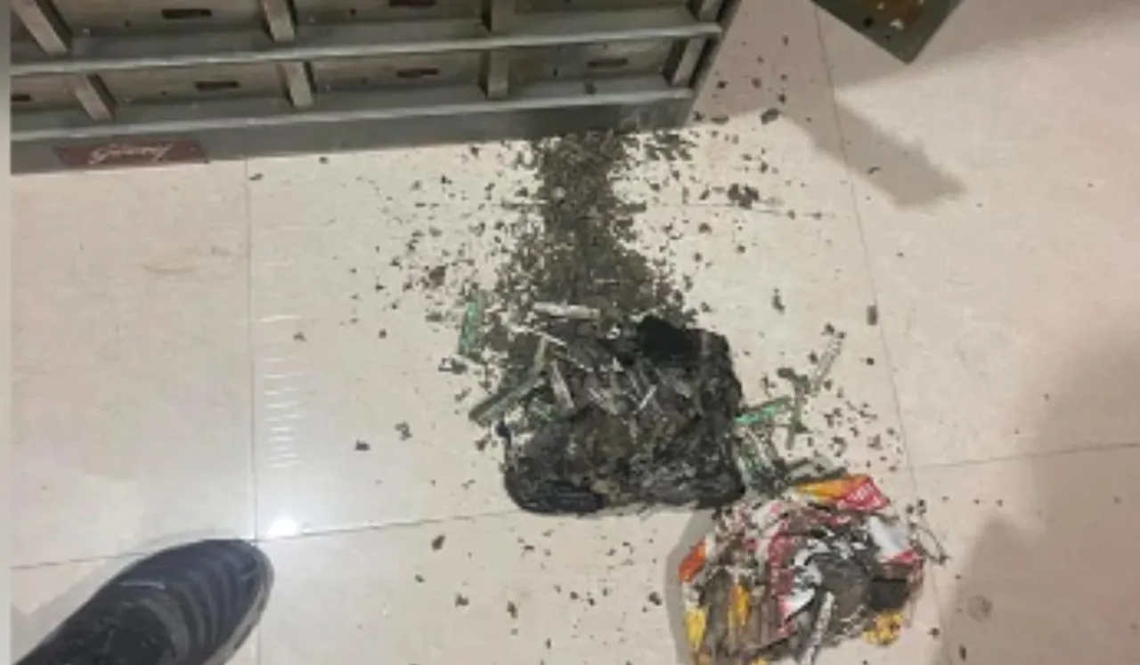 Woman Loses Cash To Termite Attack In Bank Locker