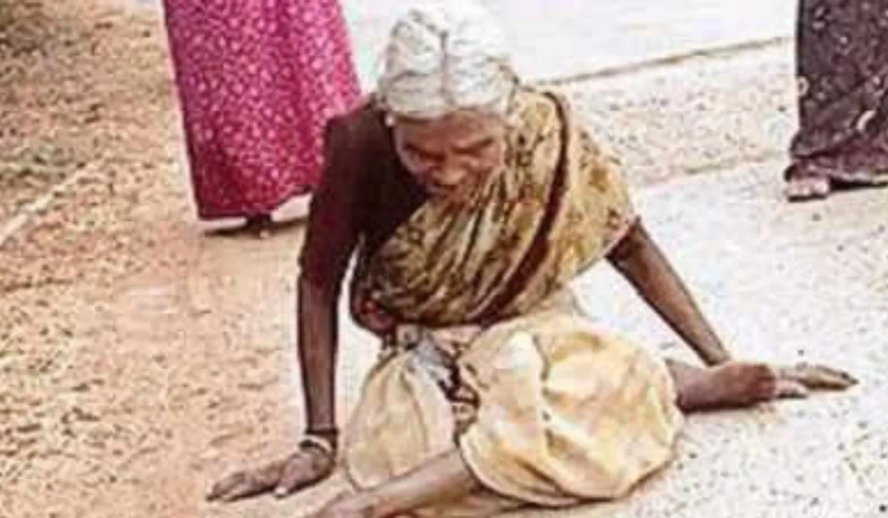 Image Credit: TOI