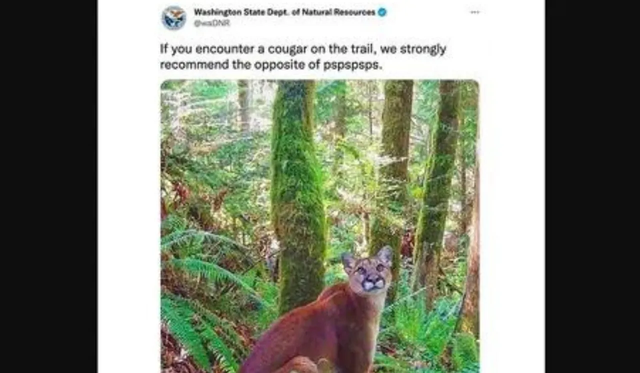 Washington Department's Advisory Post
