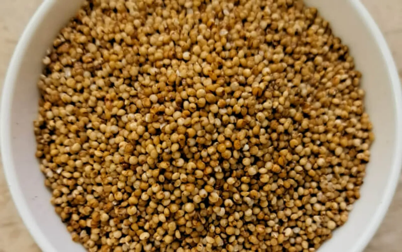 kodo millet