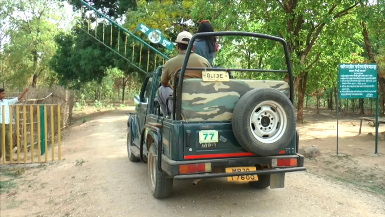 Venture into the wild: Her Journeys with Binjal Shah through Kanha