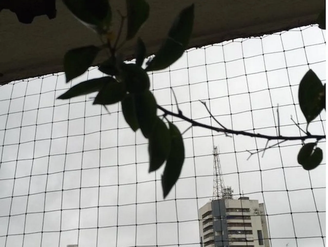 Mumbai Rains in Pictures