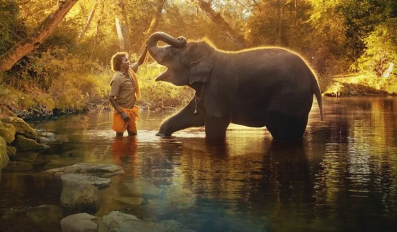 The elephant whisperers plot