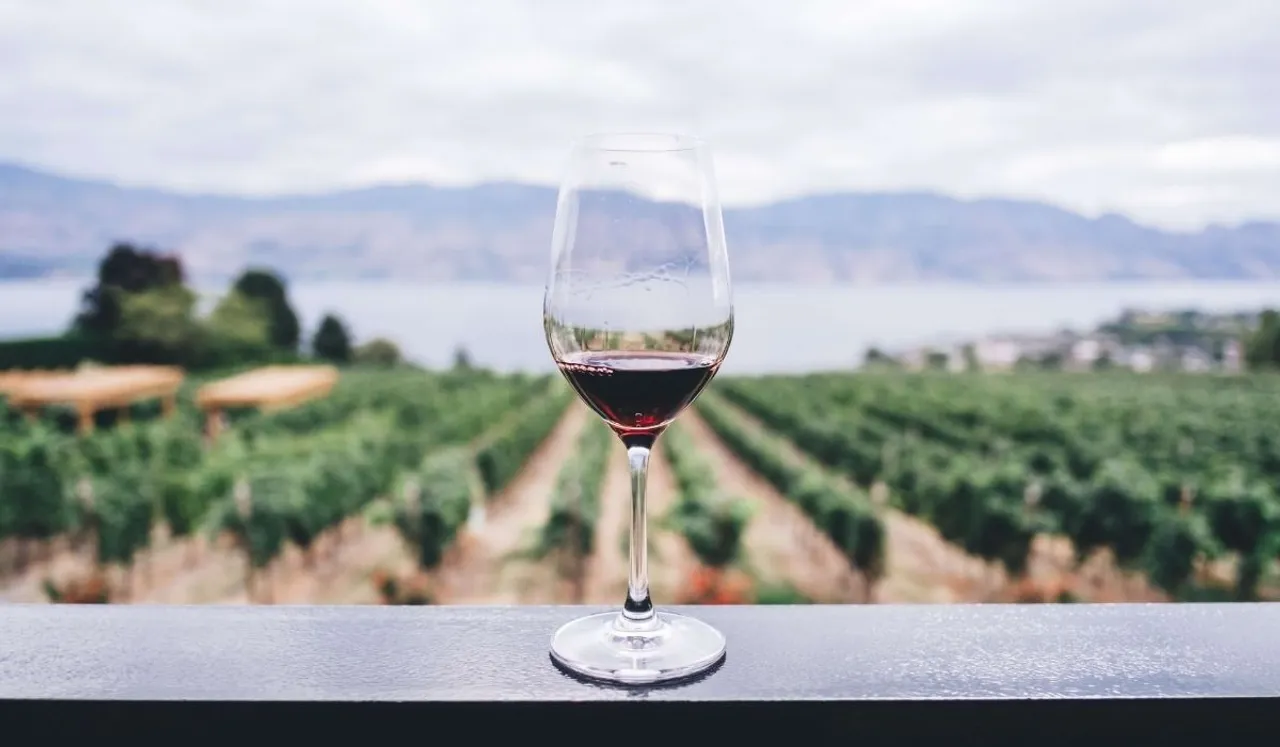 wine tasting, natural wines,