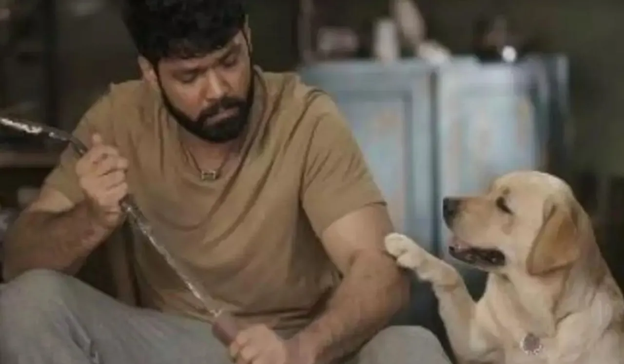 films on human animal relationship