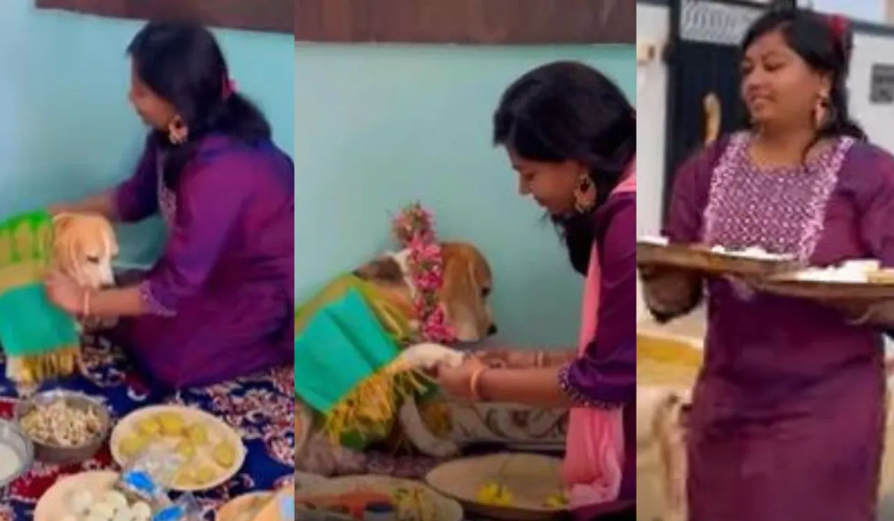 Woman Threw Baby Shower For Pet Dog