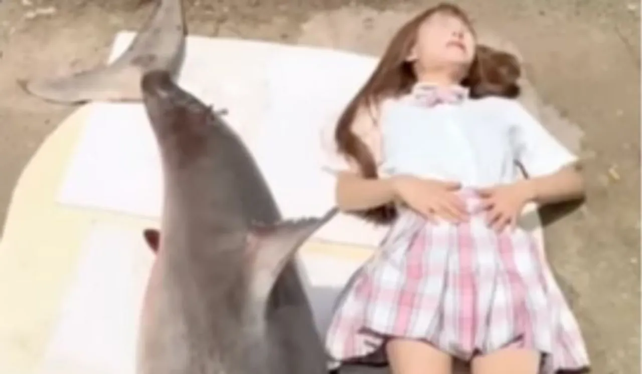Chinese Food Blogger Fined 15 Lakh Rupees For Eating Great White Shark