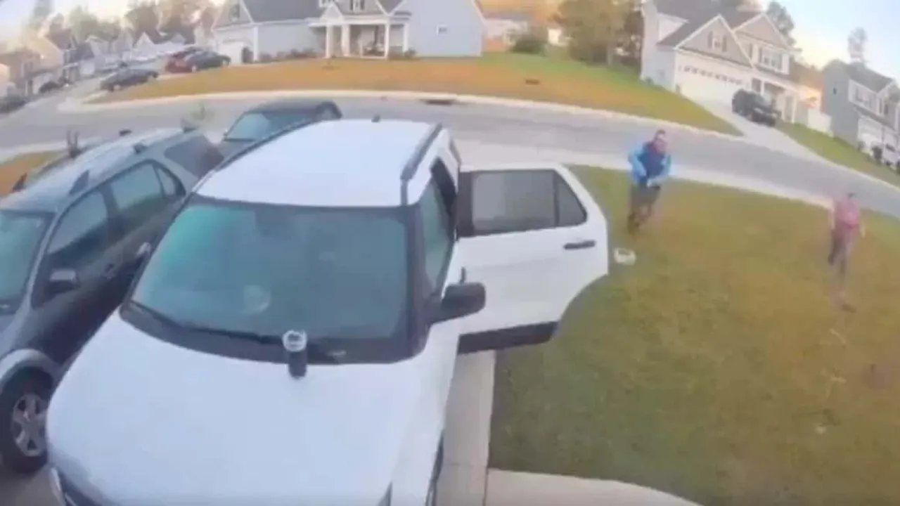 Man saves wife from bobcat