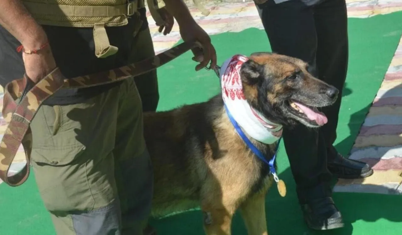 K9 Member Zorba Passes Away