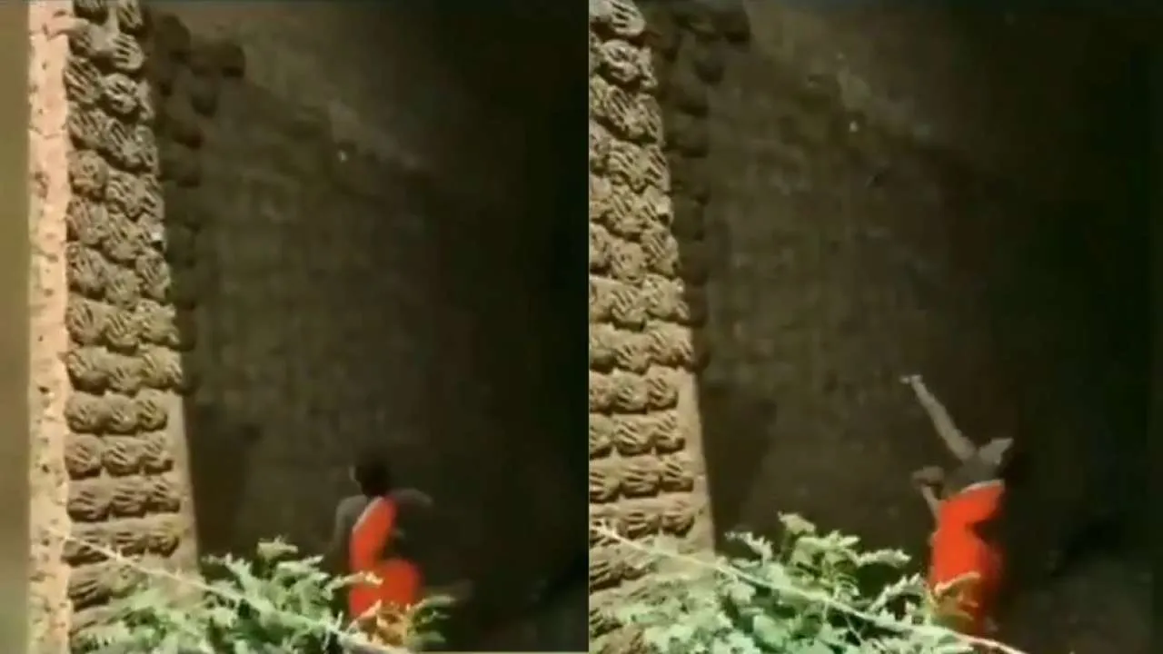 Cow dung cakes woman viral