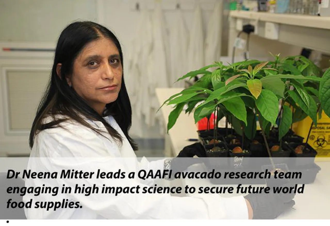This Oz Researcher's Pesticide Spray Is A Boon For Farmers