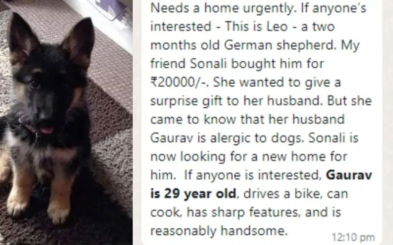 Woman Not Ready To Give Away Their Dog