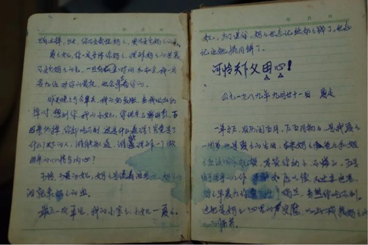 Diary Entries On China One-Child Policy