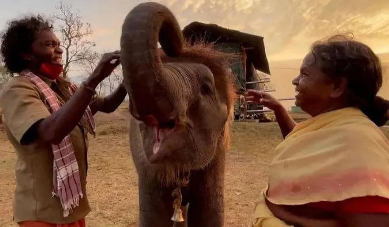 The Elephant Whisperers