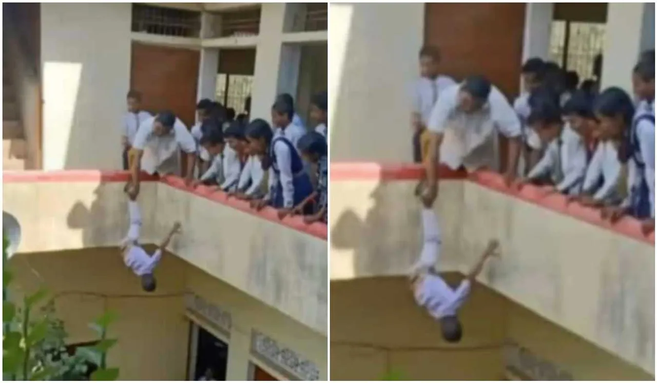 principal dangles student