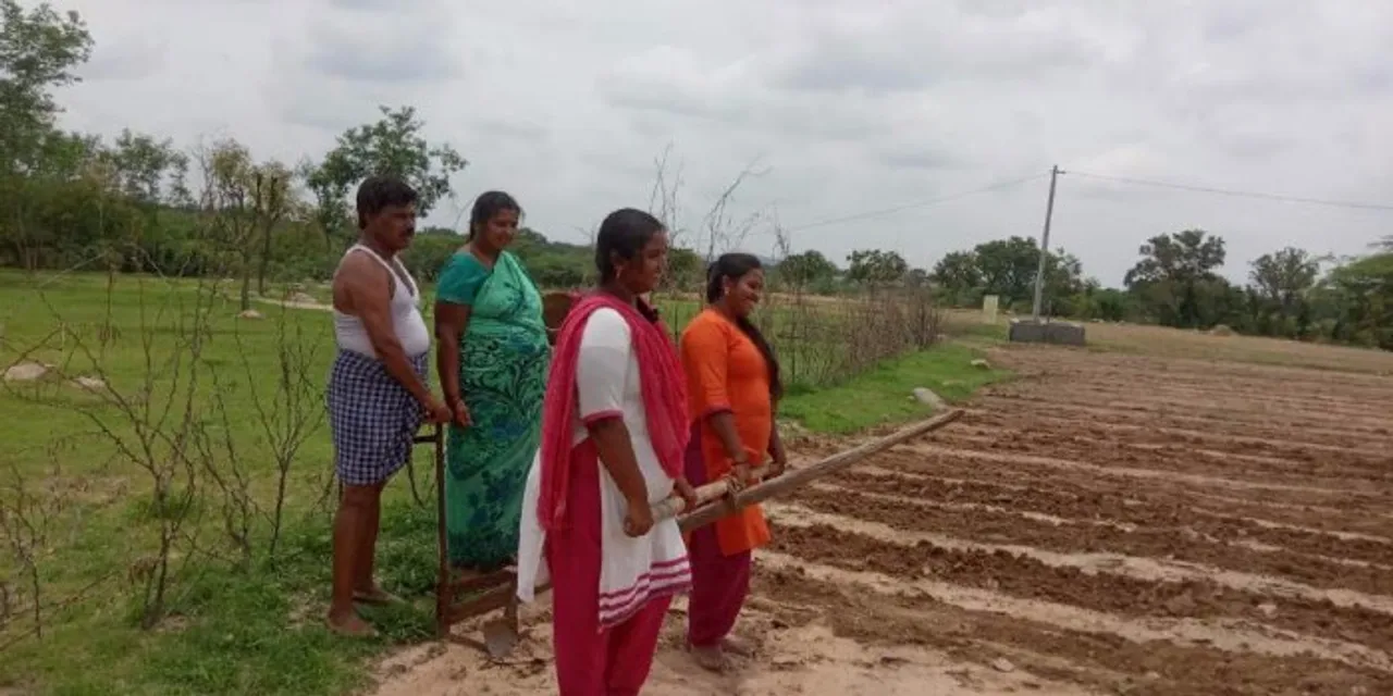 chittoor farmer video
