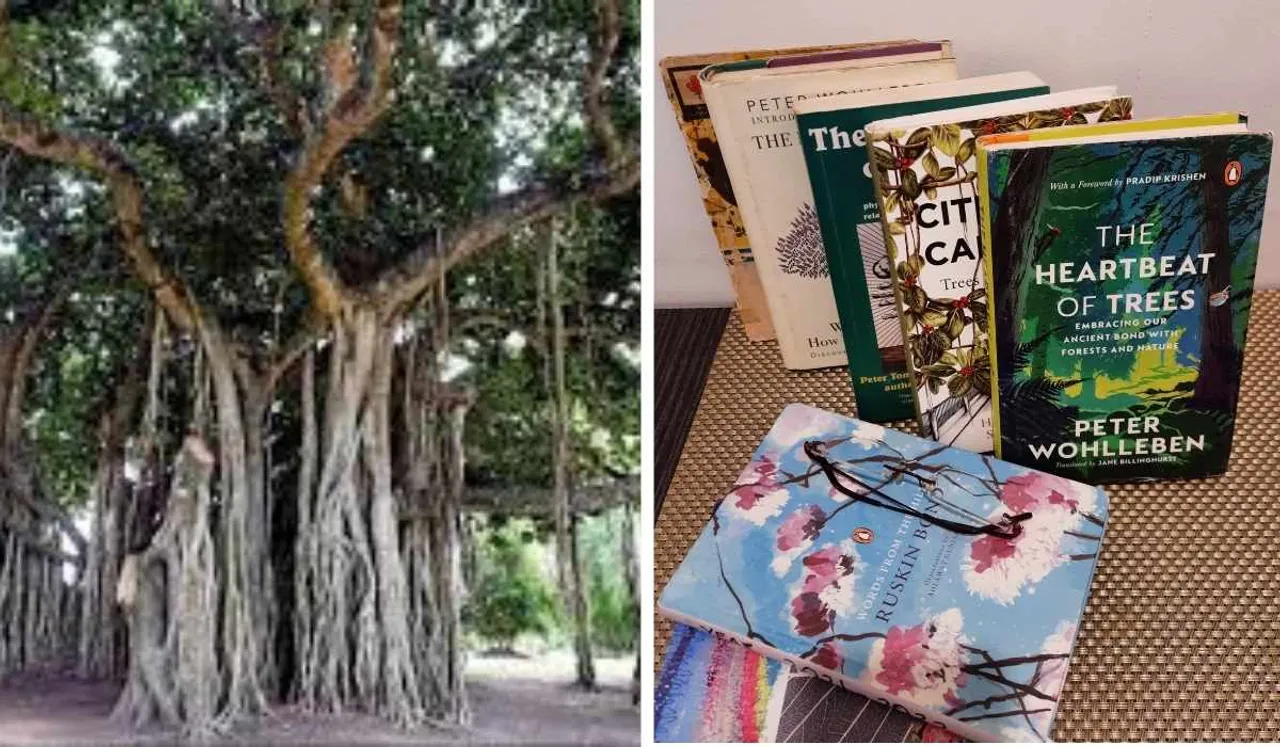 The World of Trees: How I Wished I Could Read Their Thoughts