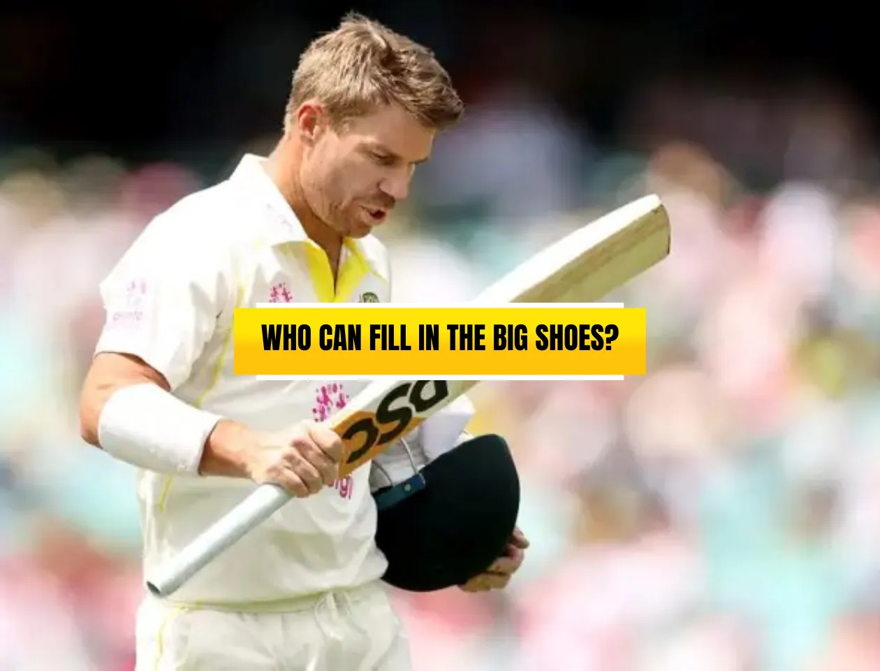 David Warner 