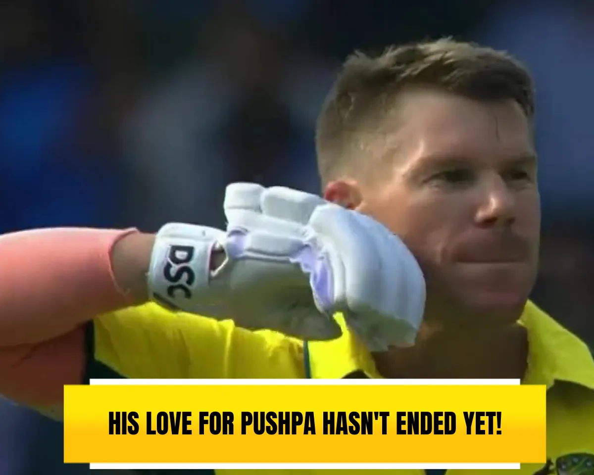 David Warner
