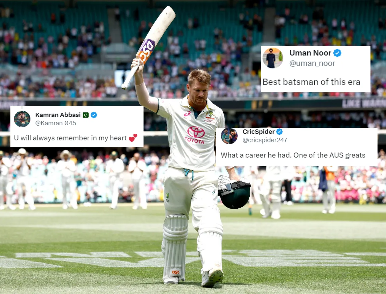 David Warner