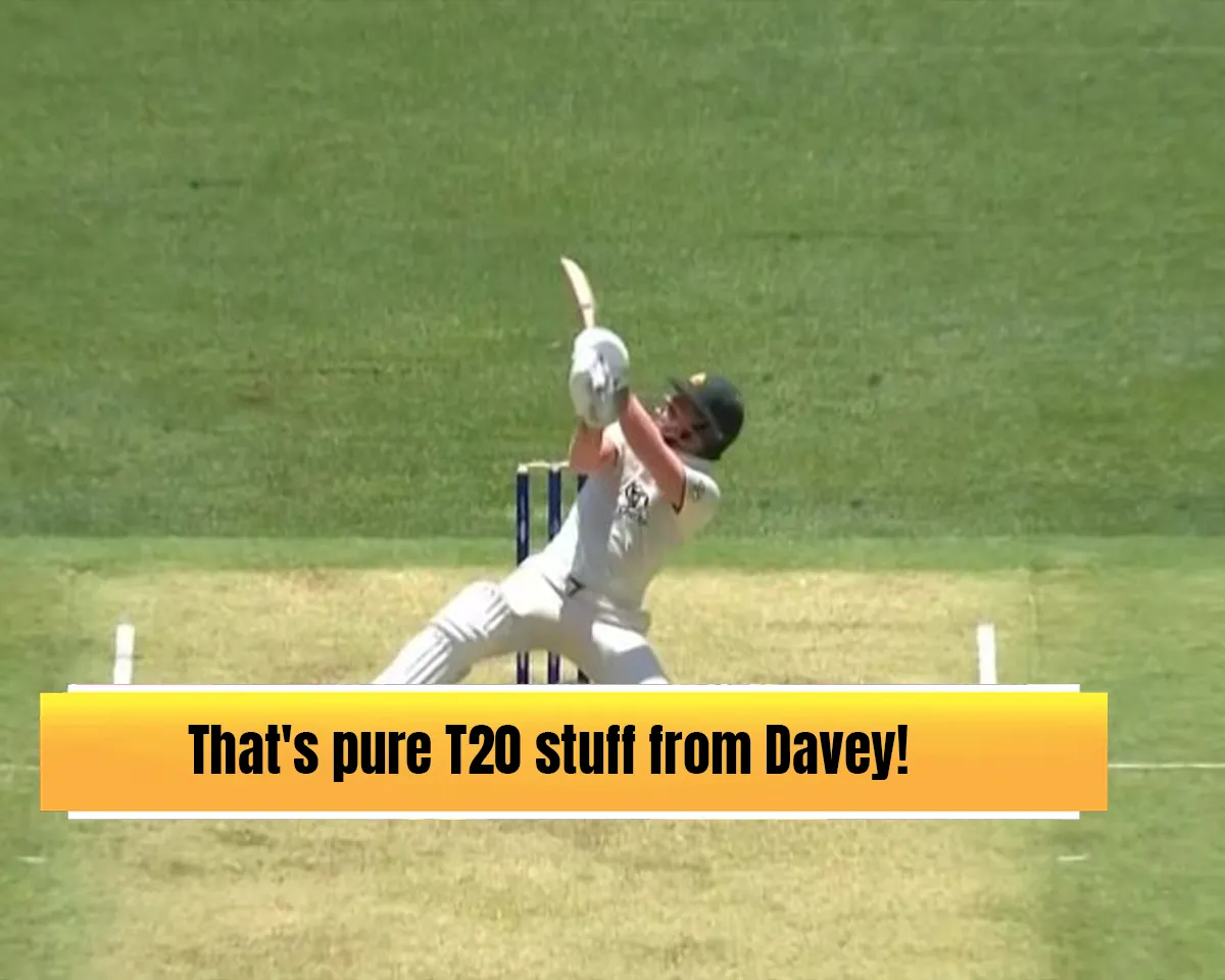David Warner (Source: Twitter)