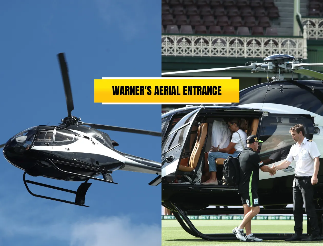 David Warner 