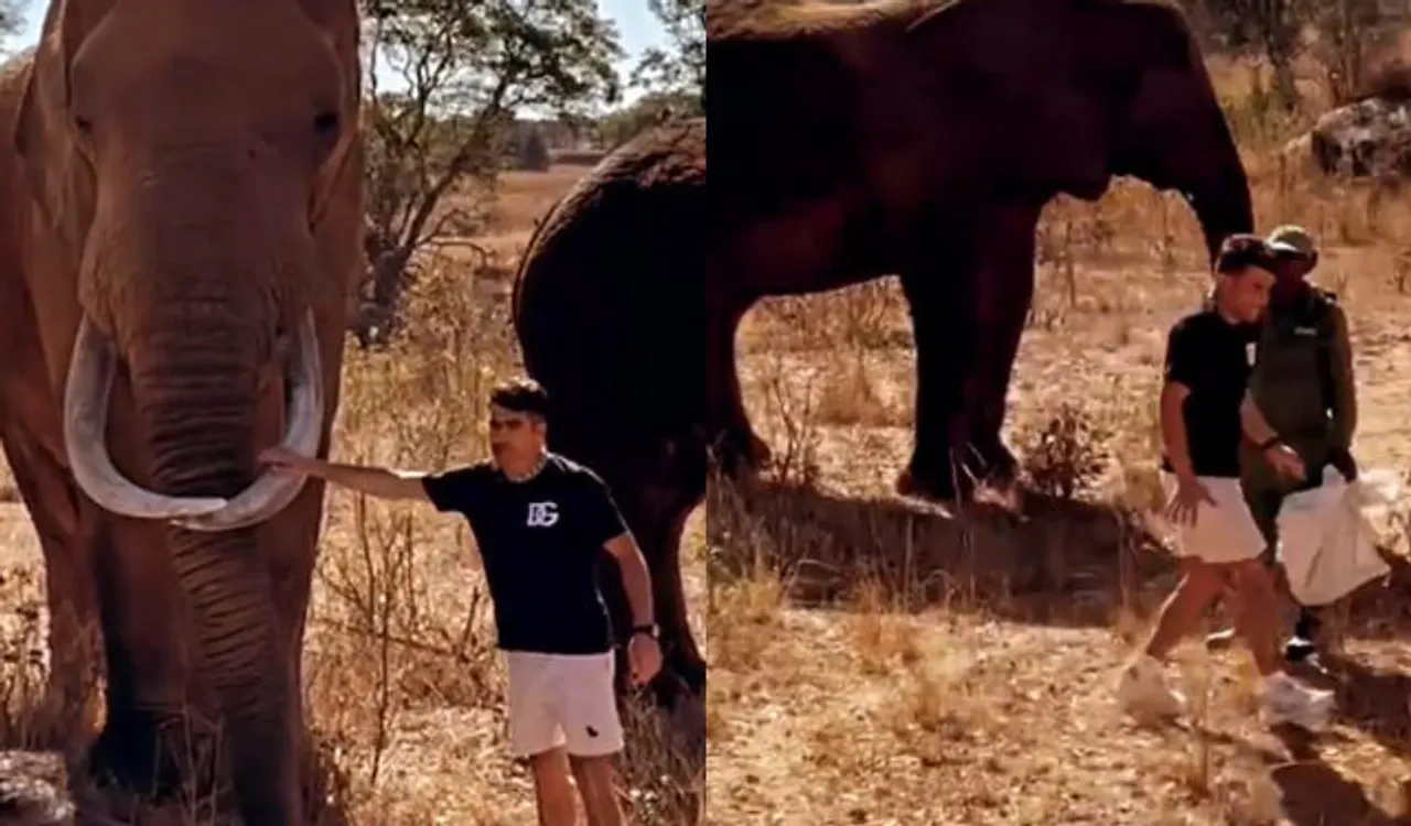 Rahmanullah-Gurbaz-runs-away-from-an-elephant-