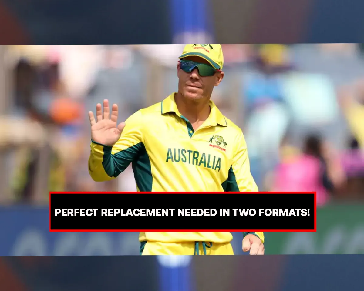 David Warner (Source - Twitter).png