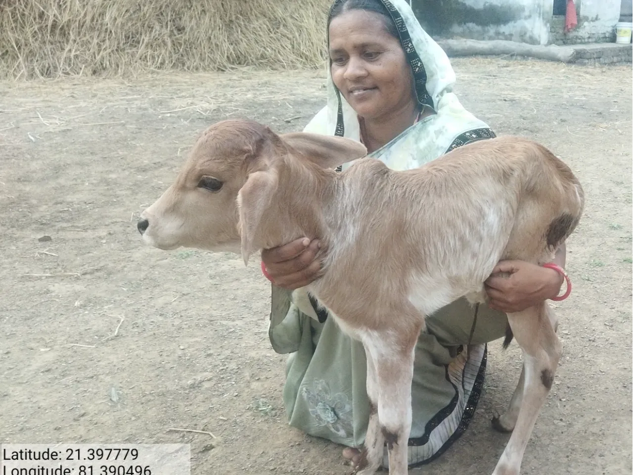 Adani Foundation at ACC Jamul empowers rural women through livestock development