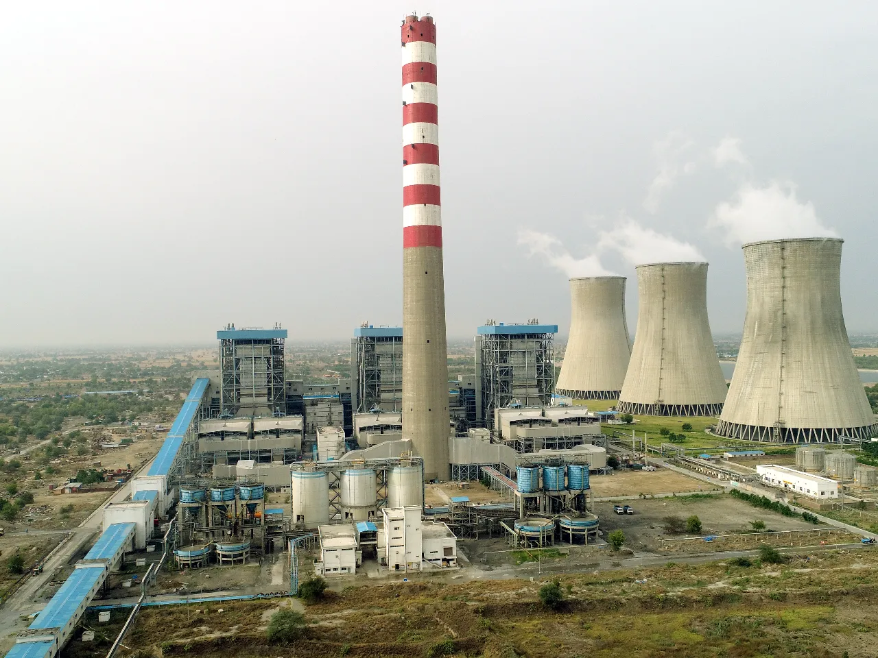 TSPL Starts Biomass Production to Reduce Coal Use in Punjab