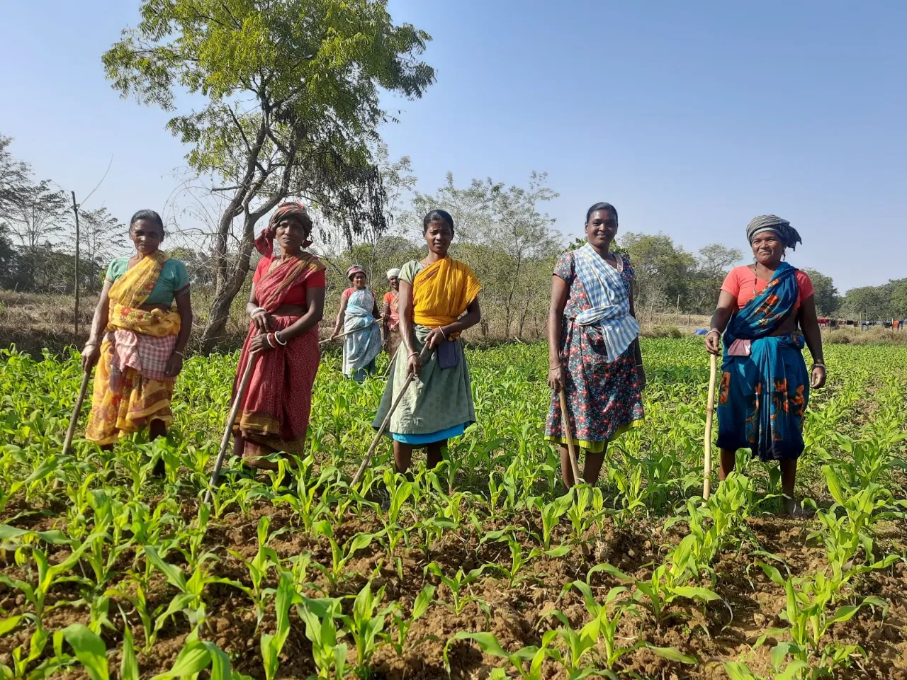 Villgro, 360 ONE Unlock Debt for Social Enterprises