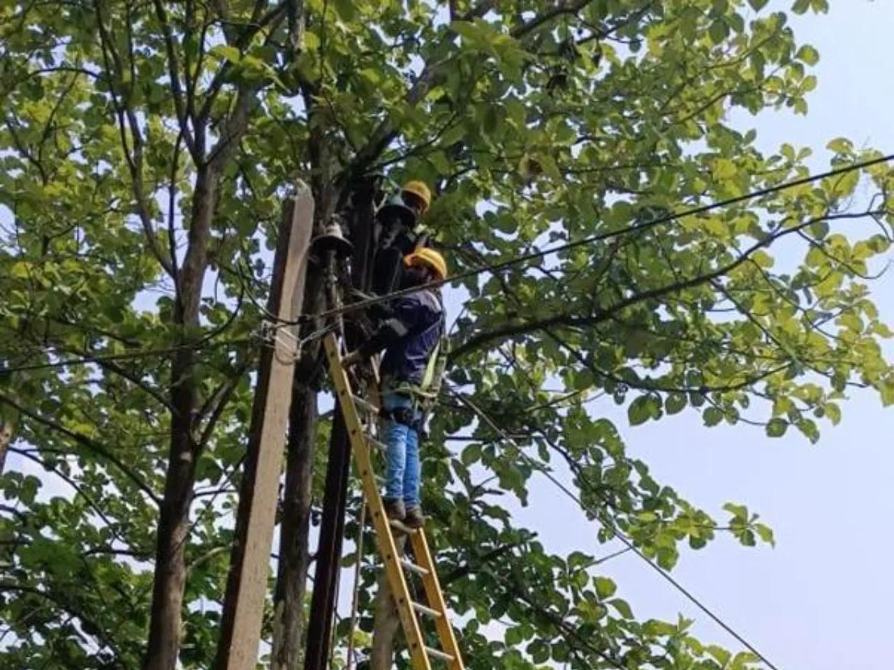 TPSODL Restores Power After Cyclone Montha in Southern Odisha