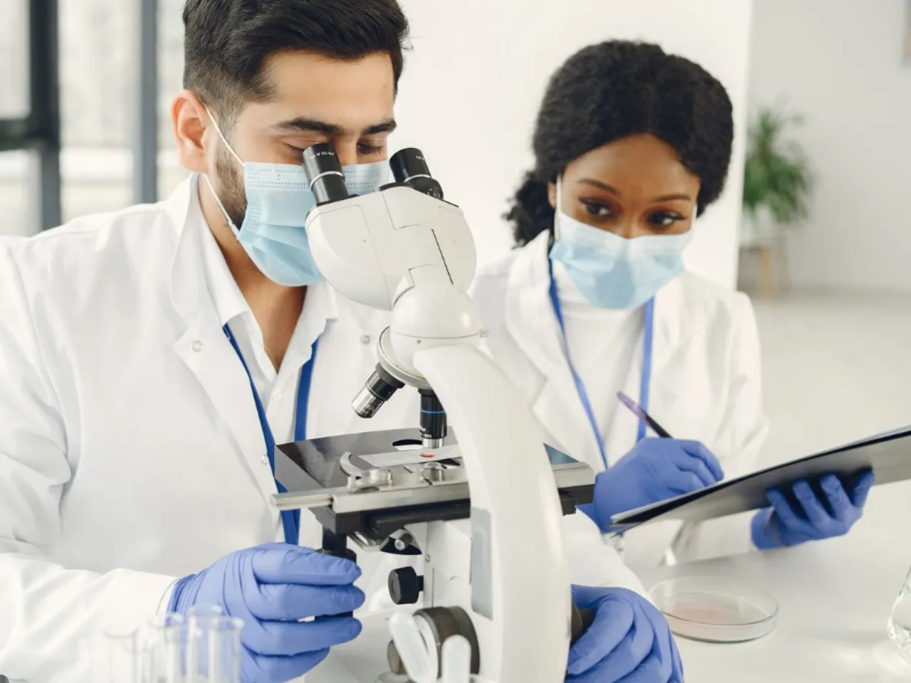 Indian Students New Record in STEMS