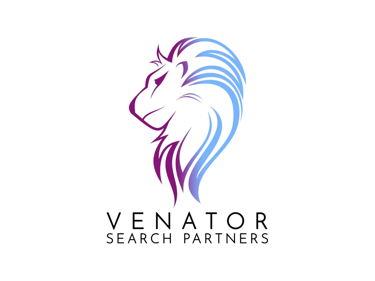Venator Search Partners