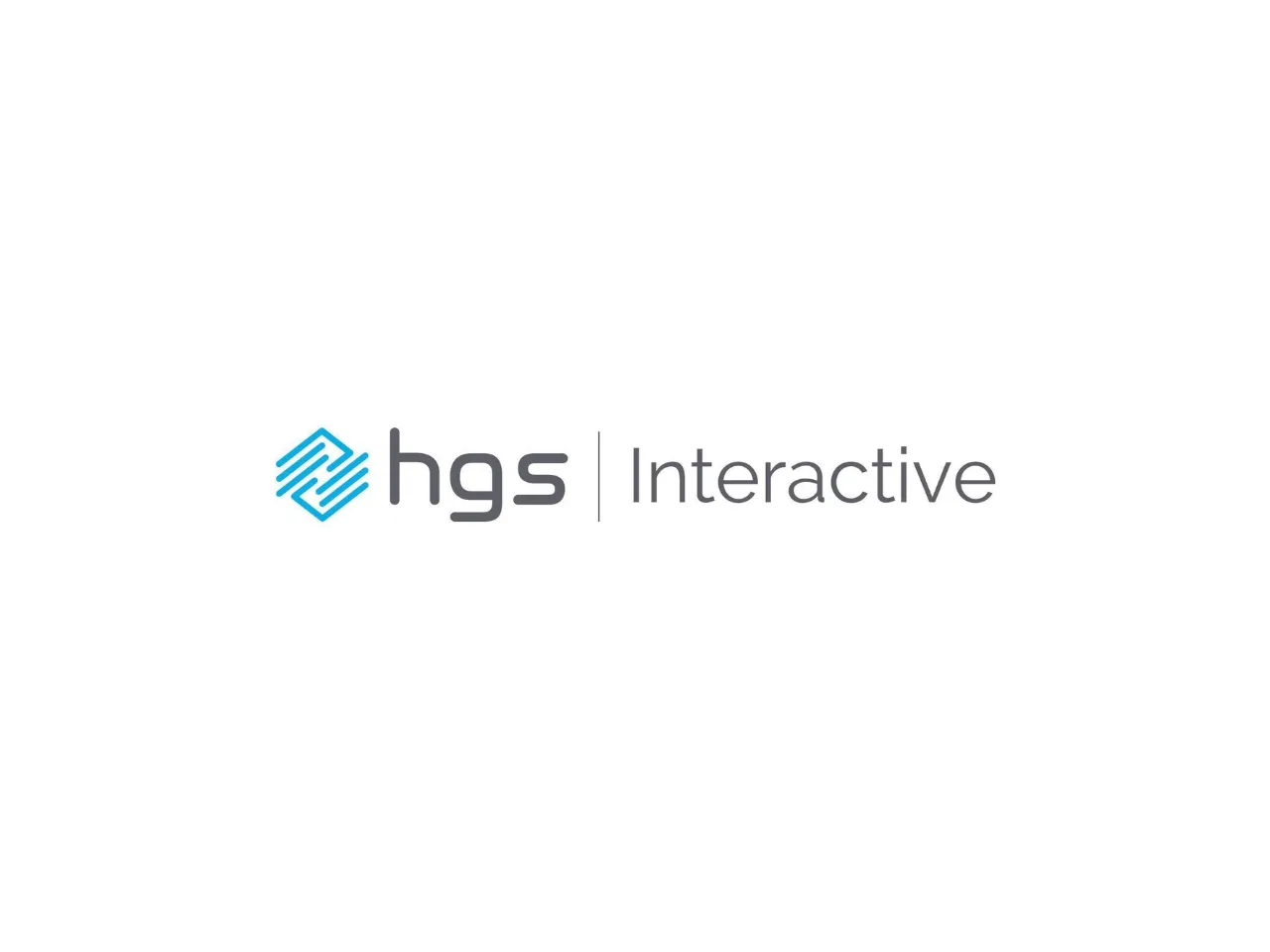 HGS Interactive