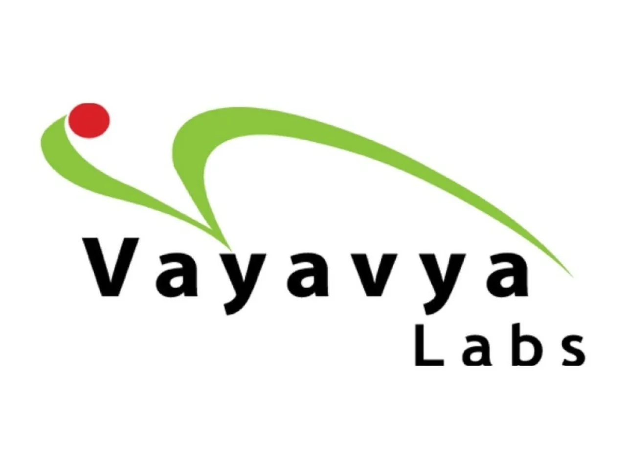Vayavya Labs - logo