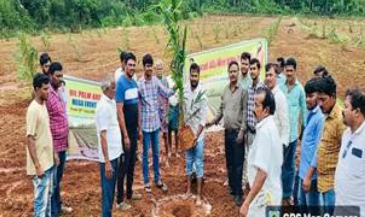 National Mission for Edible Oils