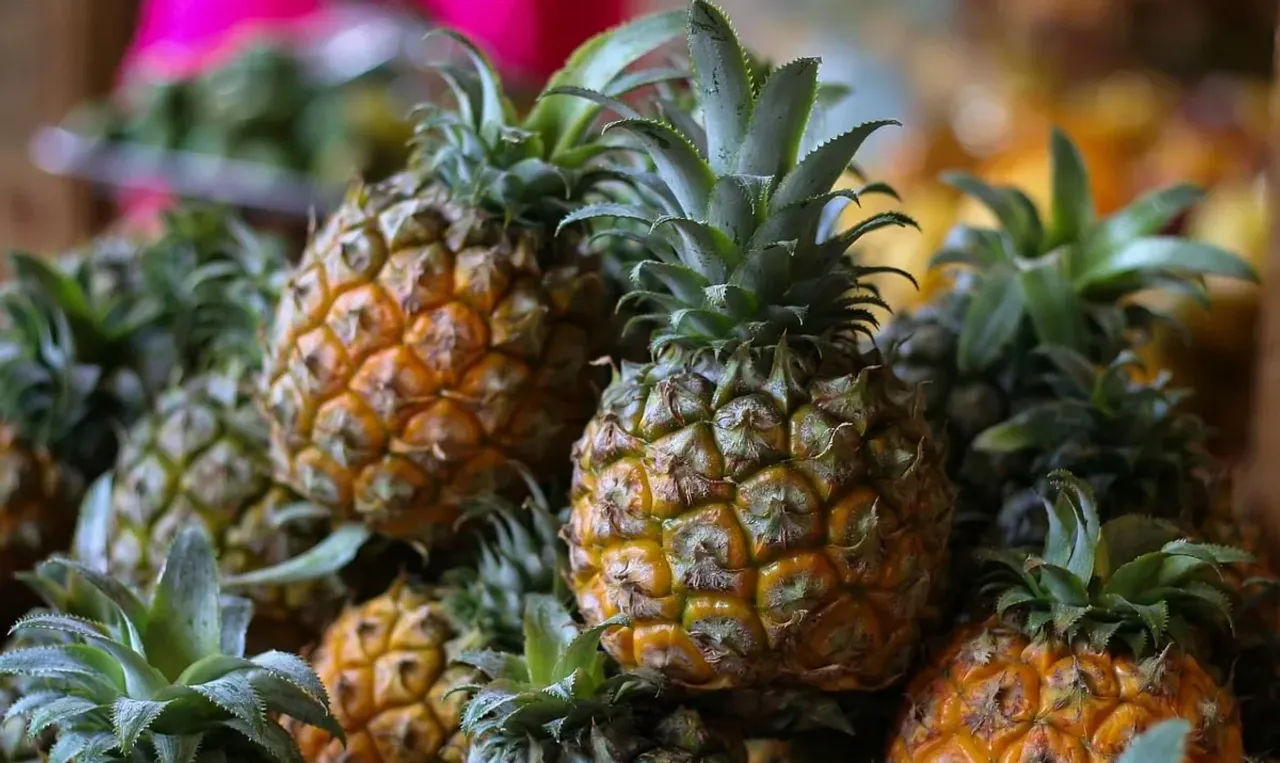APEDA facilitates first Consignment of MD 2 Pineapples from India to UAE