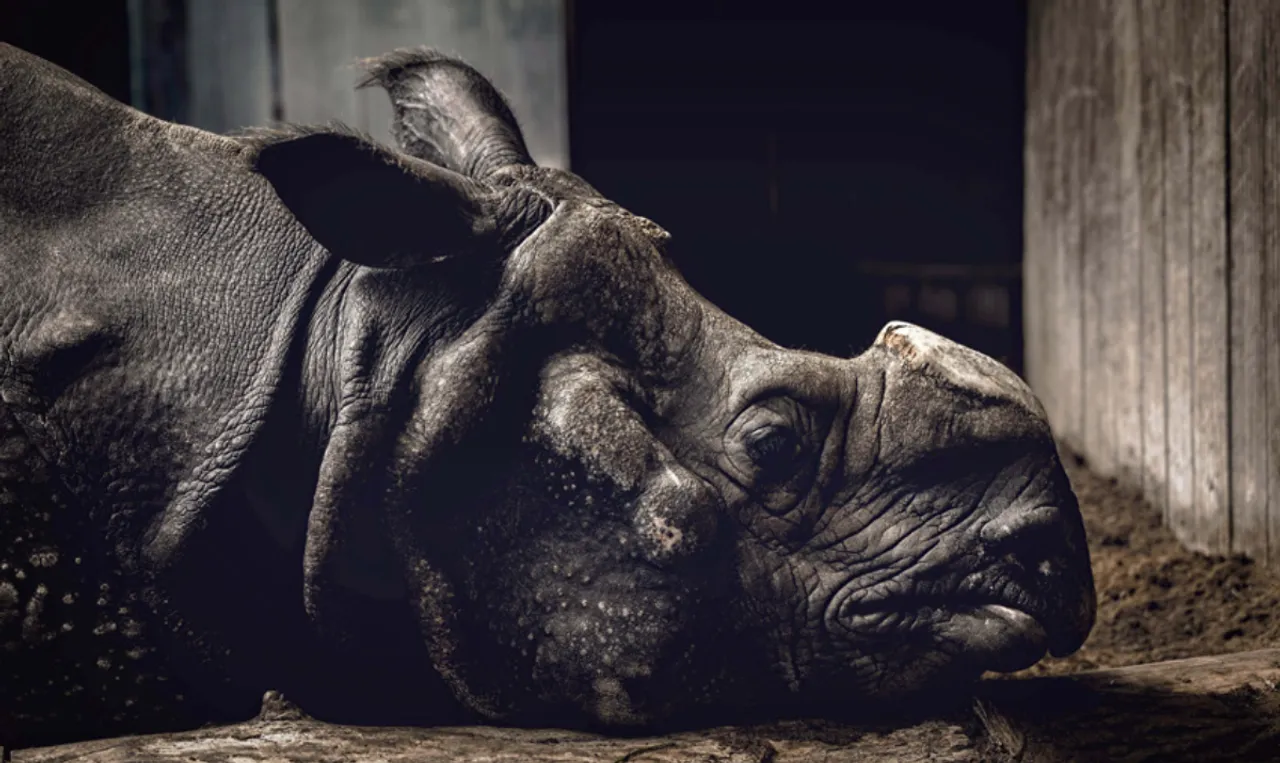 © Haider Khan, India, 2nd Place, Professional competition, Wildlife & Nature, Sony World Photography Awards 2024 (1)