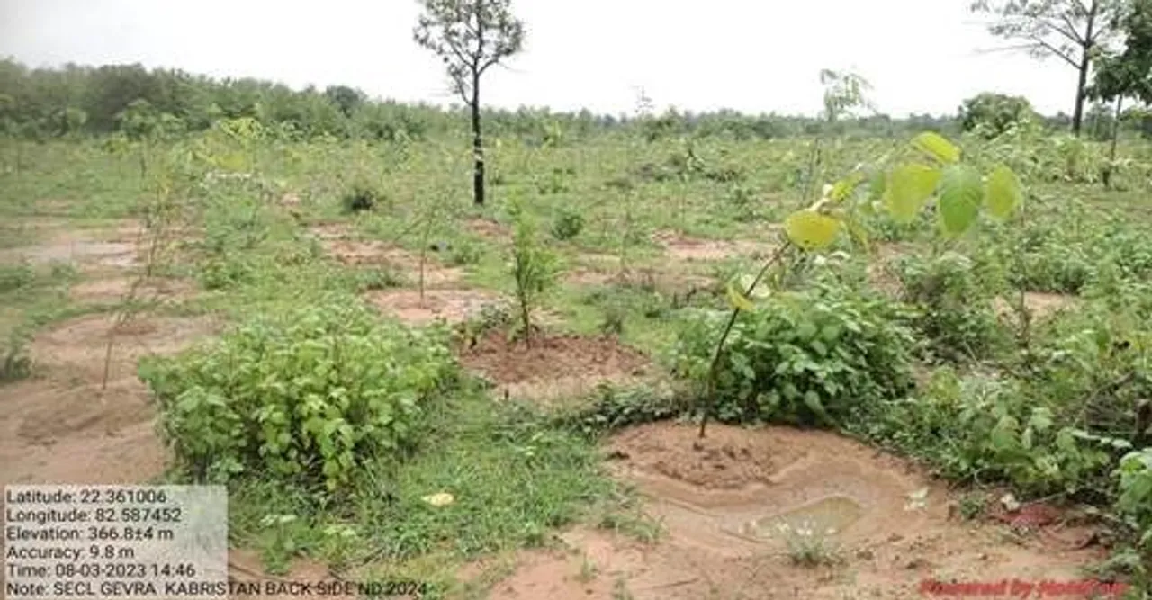 Coal Mining, Plantaion, Minitry of Coal