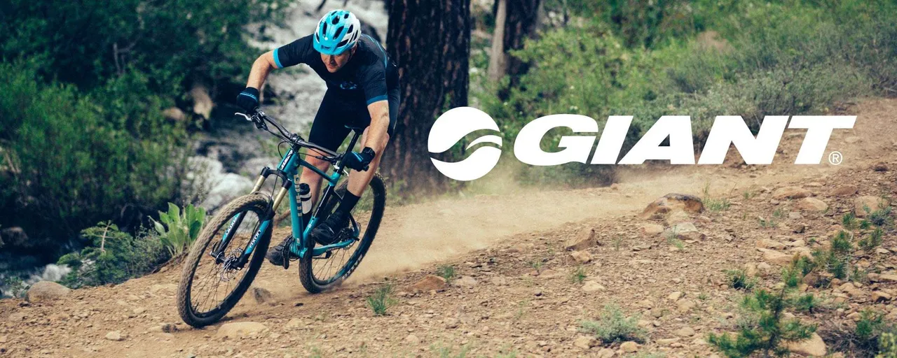 Giant Bike