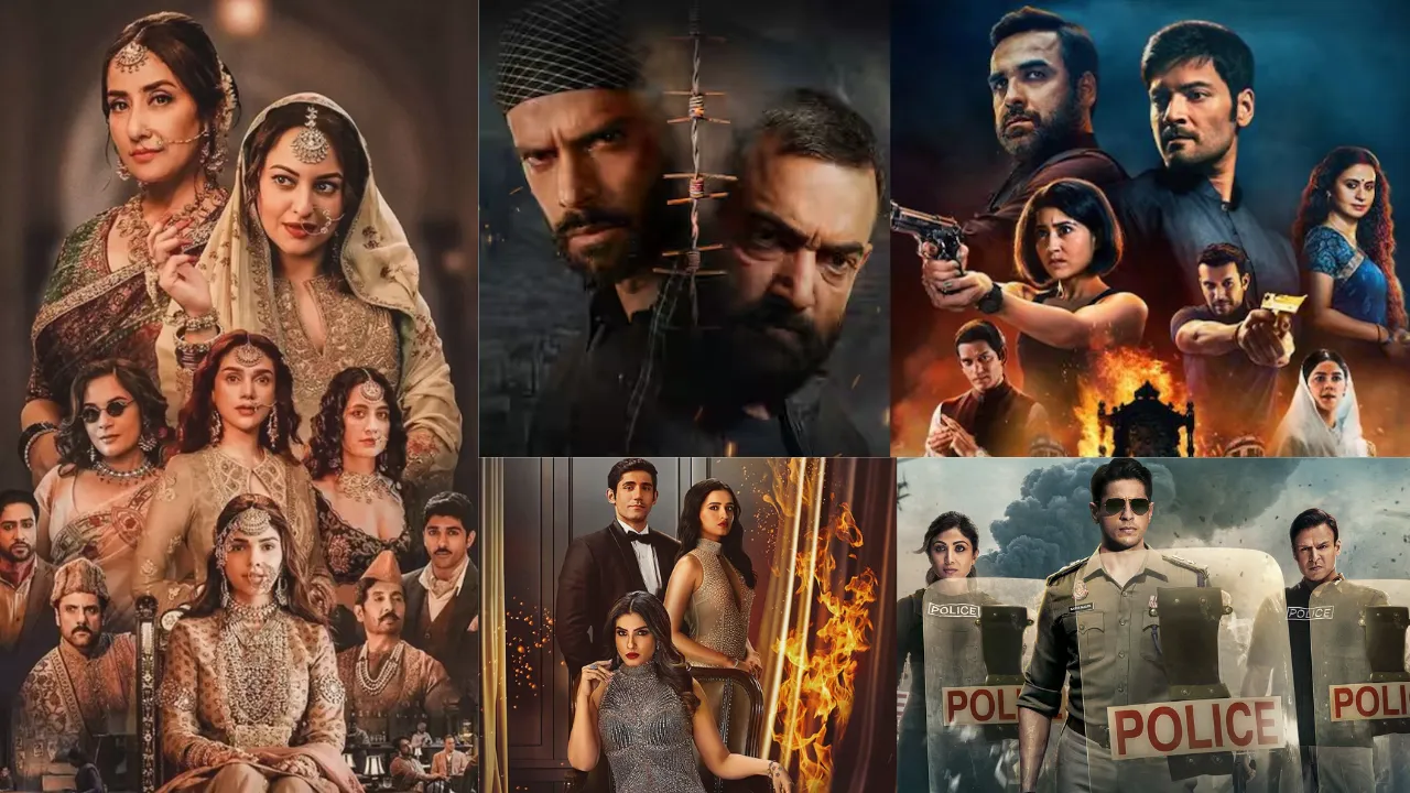 Hindi web series of 2024 that couldn't stand tall on their order