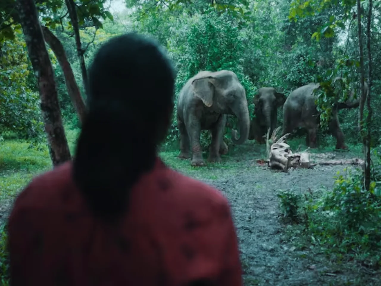 Poacher Janta review