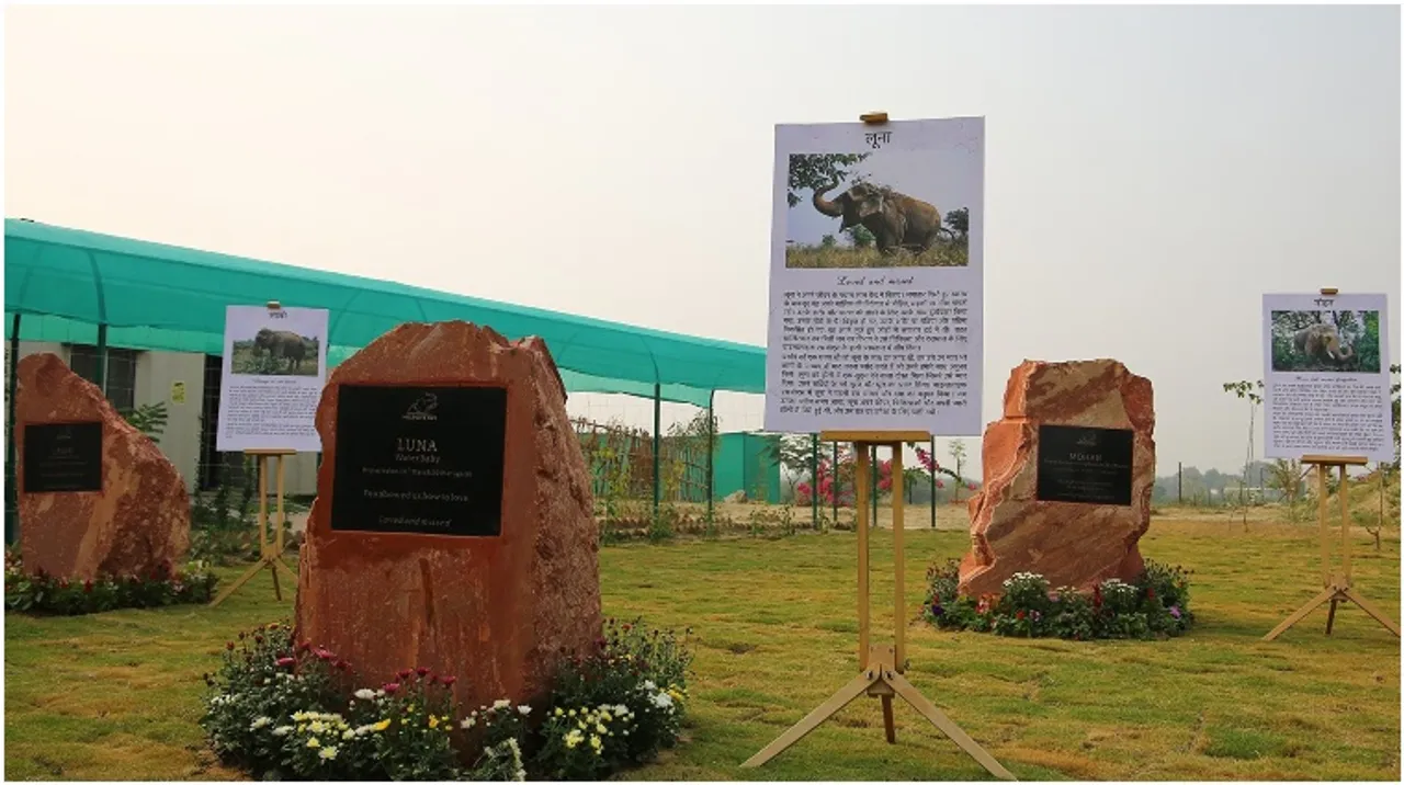 Elephant Memorial